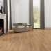 Loose Lay Elegant Champagne Oak